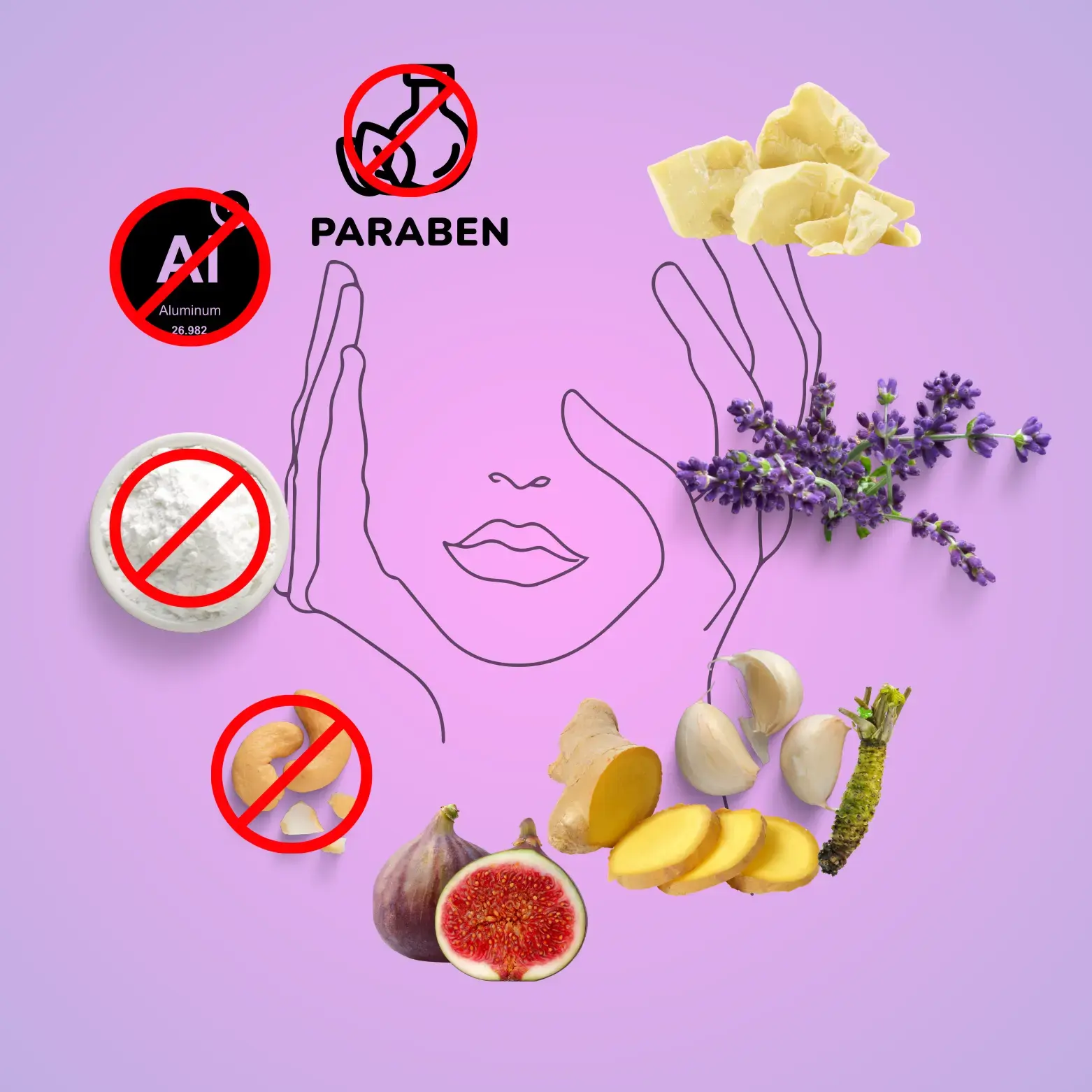 Side-by-side display of approved herbal ingredients and excluded synthetic additives.