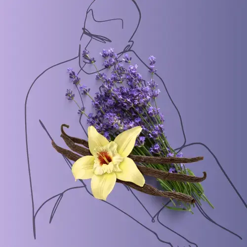 Lavender sprigs and vanilla pods, illustrating the calming Sweet Calm fragrance