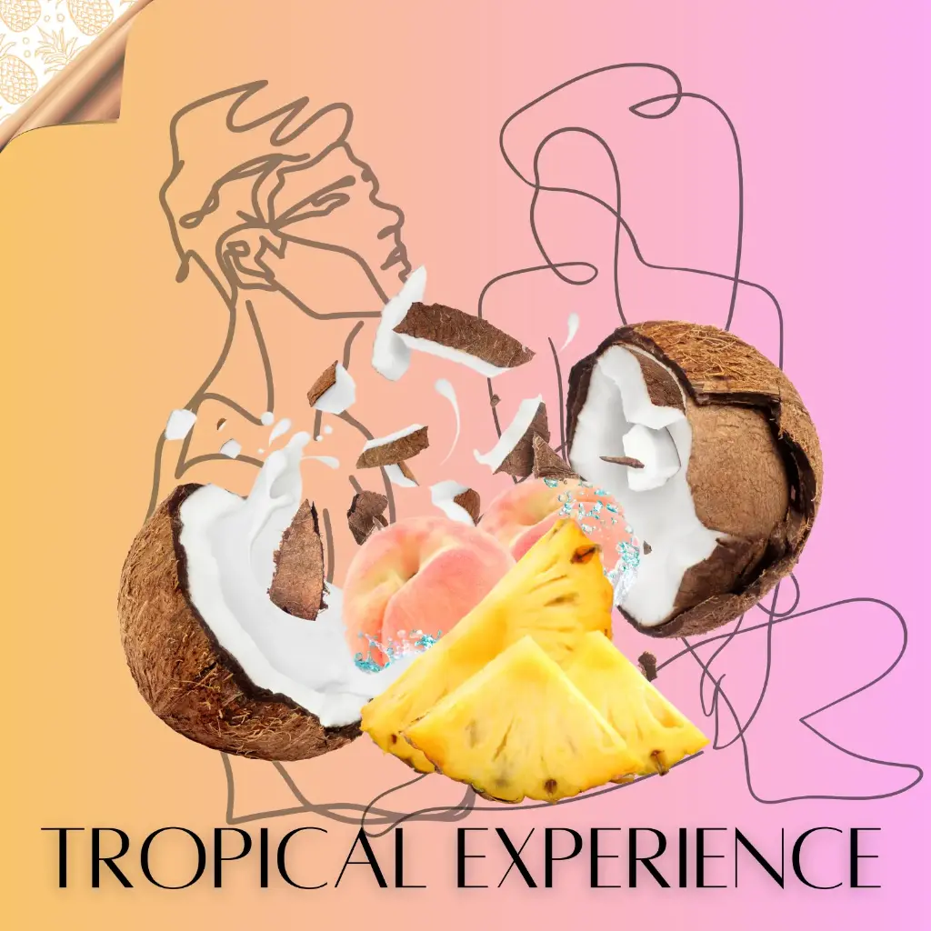 tropical experience .webp