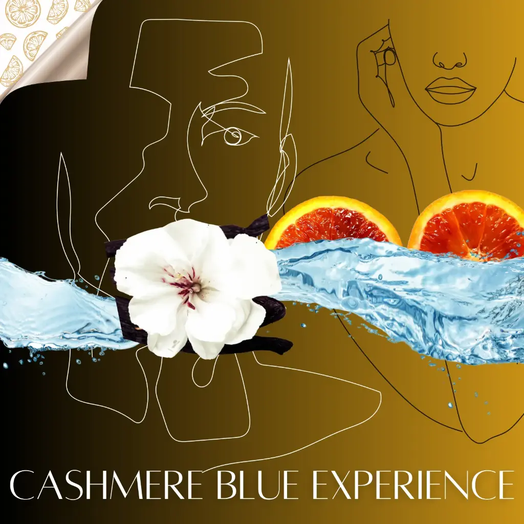 cashmere blue experience (1).webp