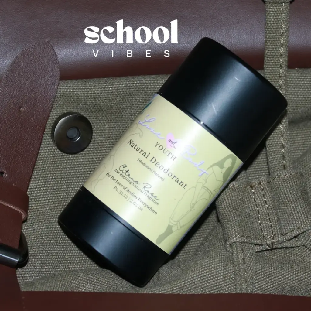 school vibes (2).webp