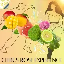 citrus rose experience (1).webp